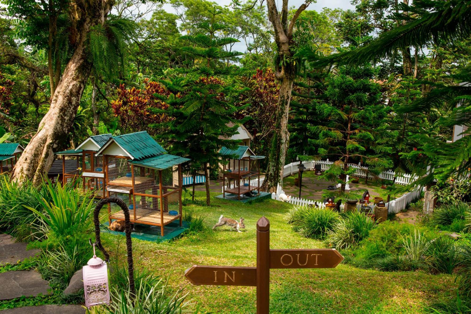 Novus Giri Resort & Spa Пунсак Екстериор снимка